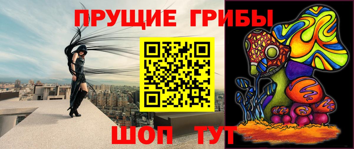 Галлюциногенные грибы прущие грибы  даркнет сайт  Псилоцибиновые грибы Cubensis  Ульяновск  Вход с VPN 